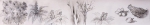 ver detalhe da imagem