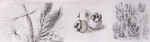 ver detalhe da imagem