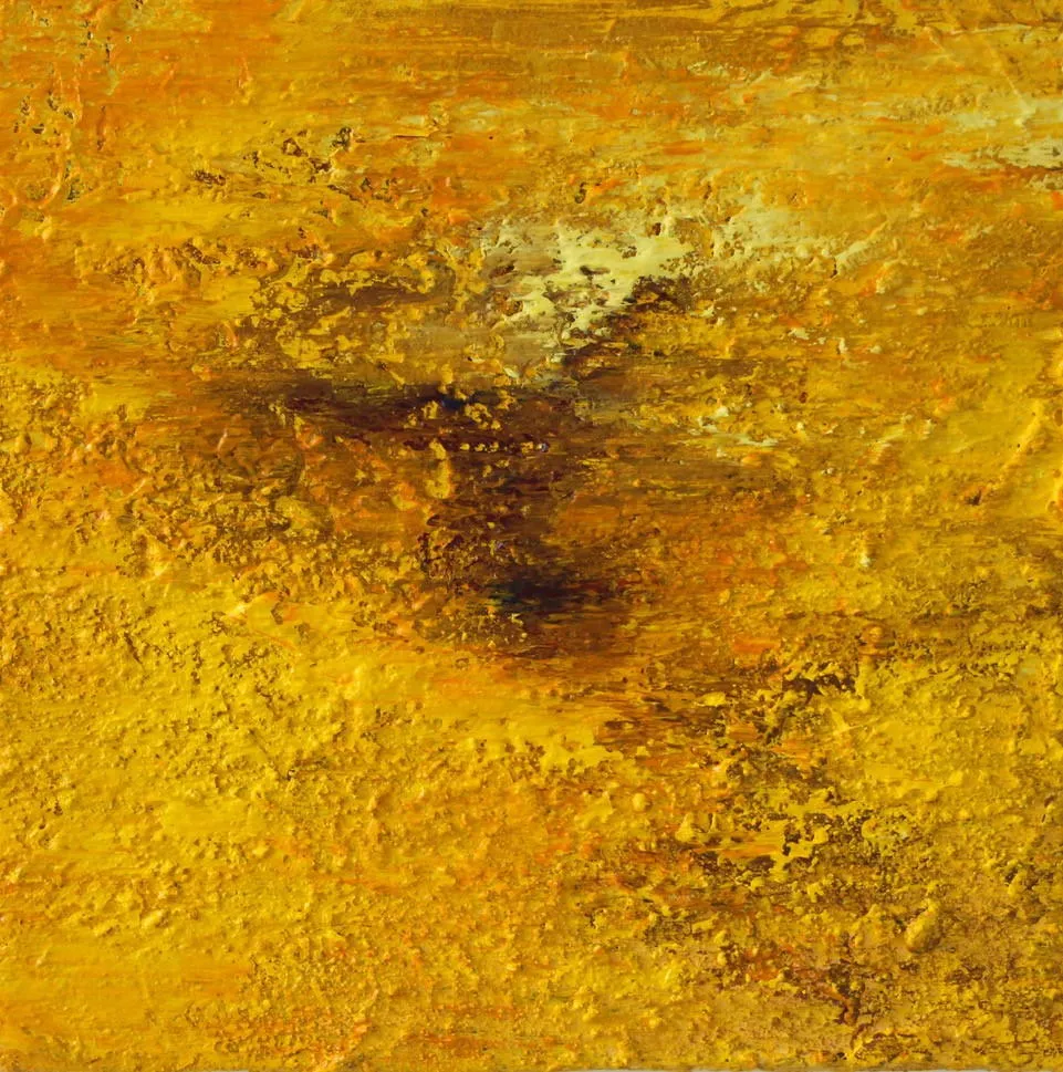 Territórios Âmbar, Alberto Reguera, 2019, Mixed media on canvas