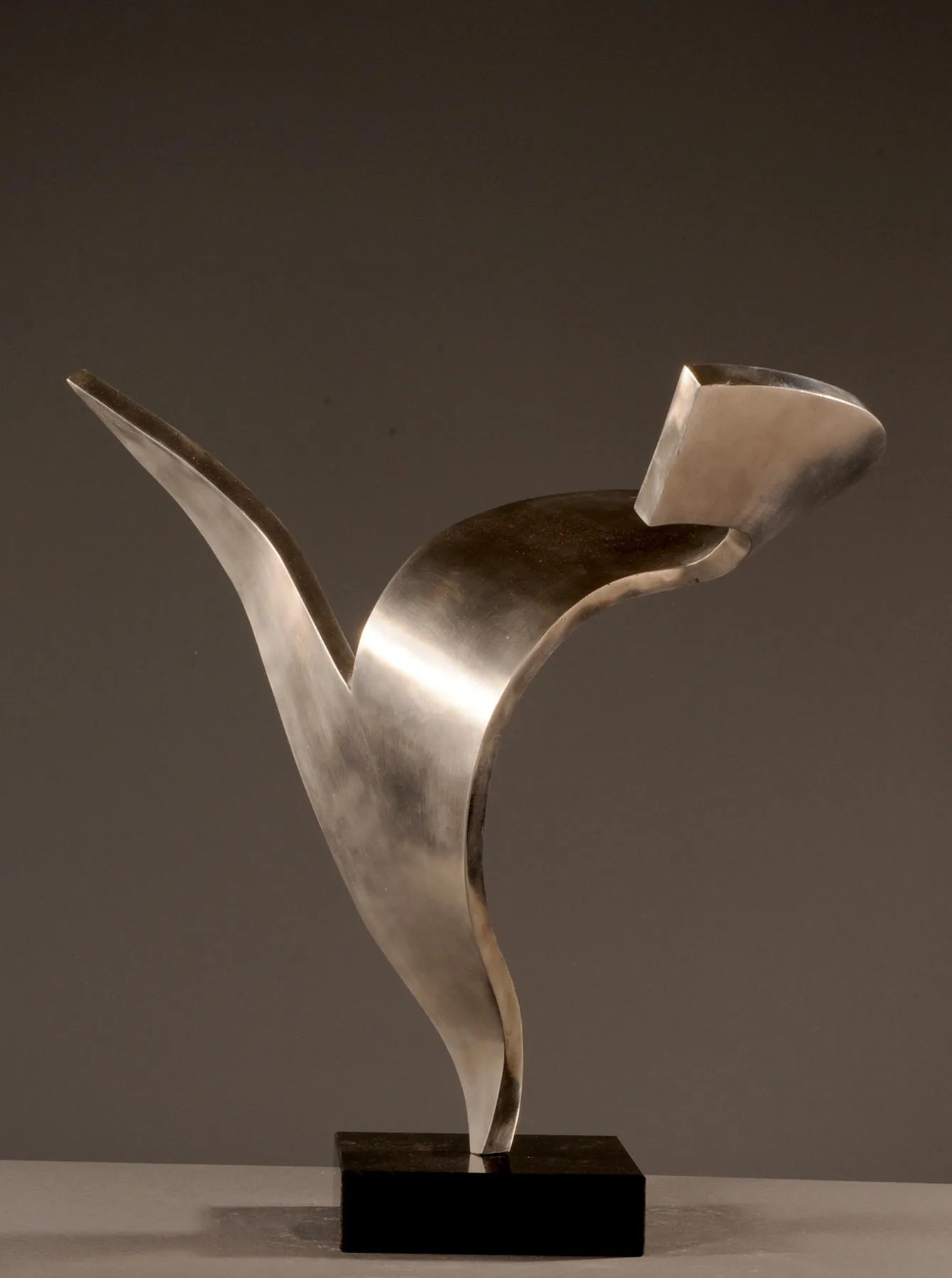 Growing up, Georg Scheele, 2008, Aluminium