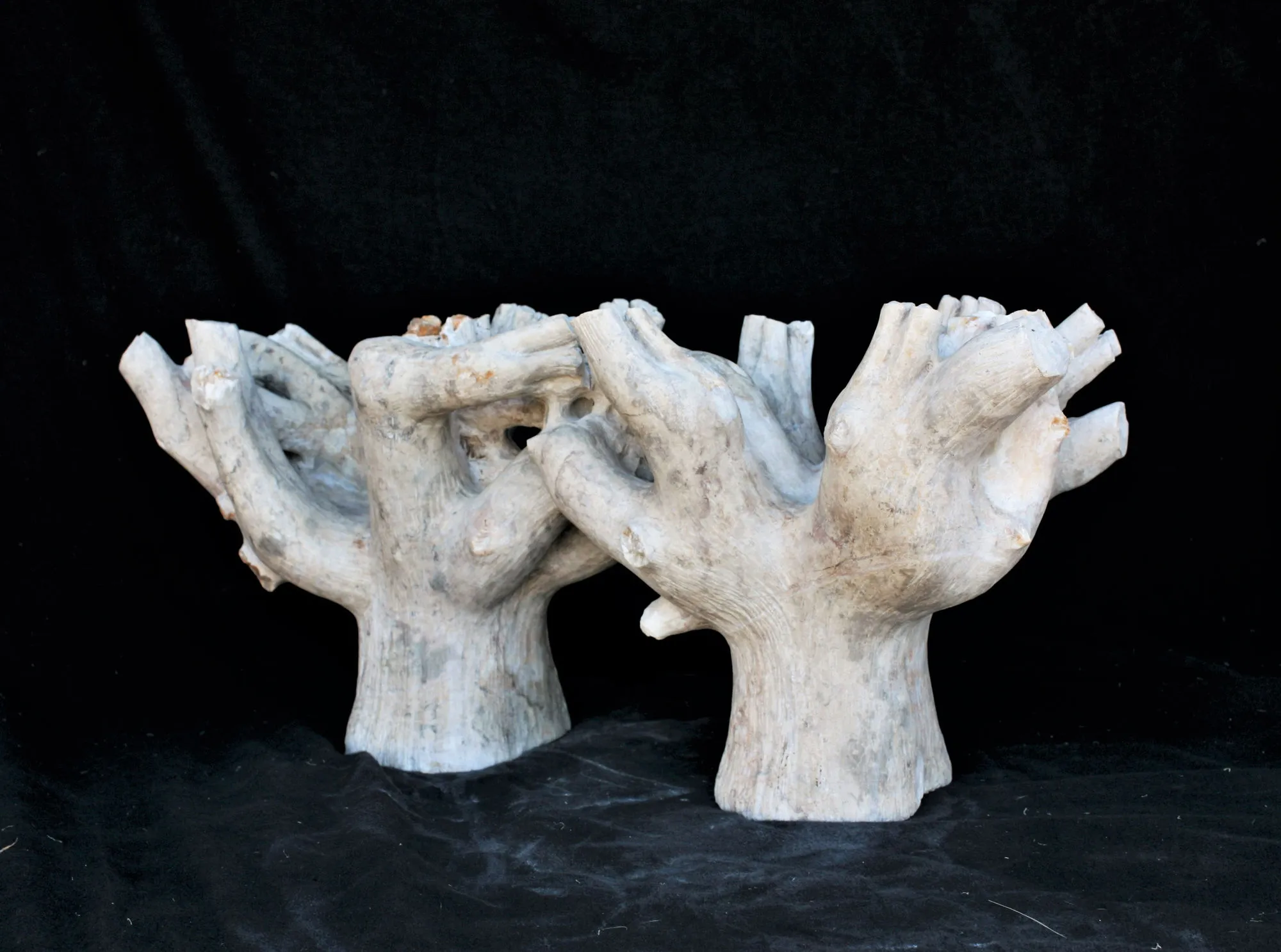O que resta da floresta II, Vítor Ribeiro, 2019, Santo António breccia