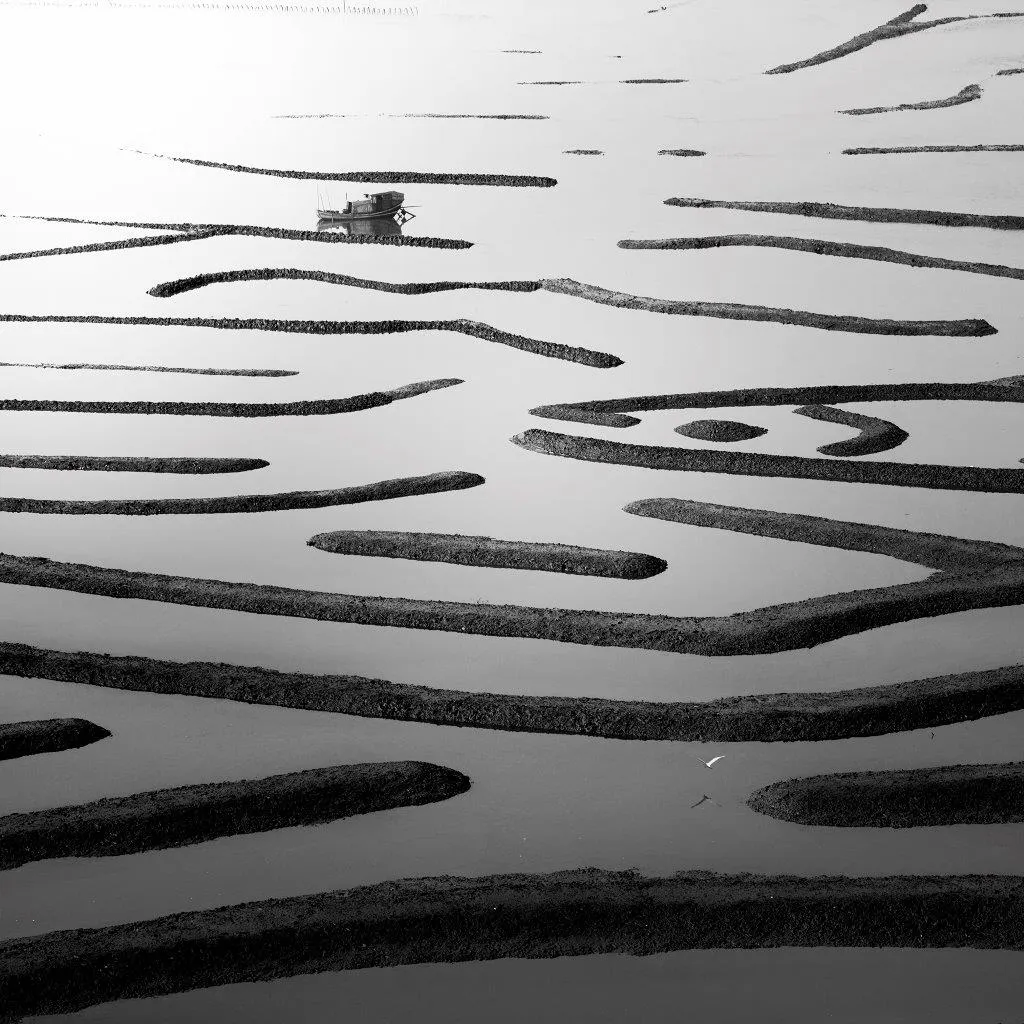 Lost in Abstraction