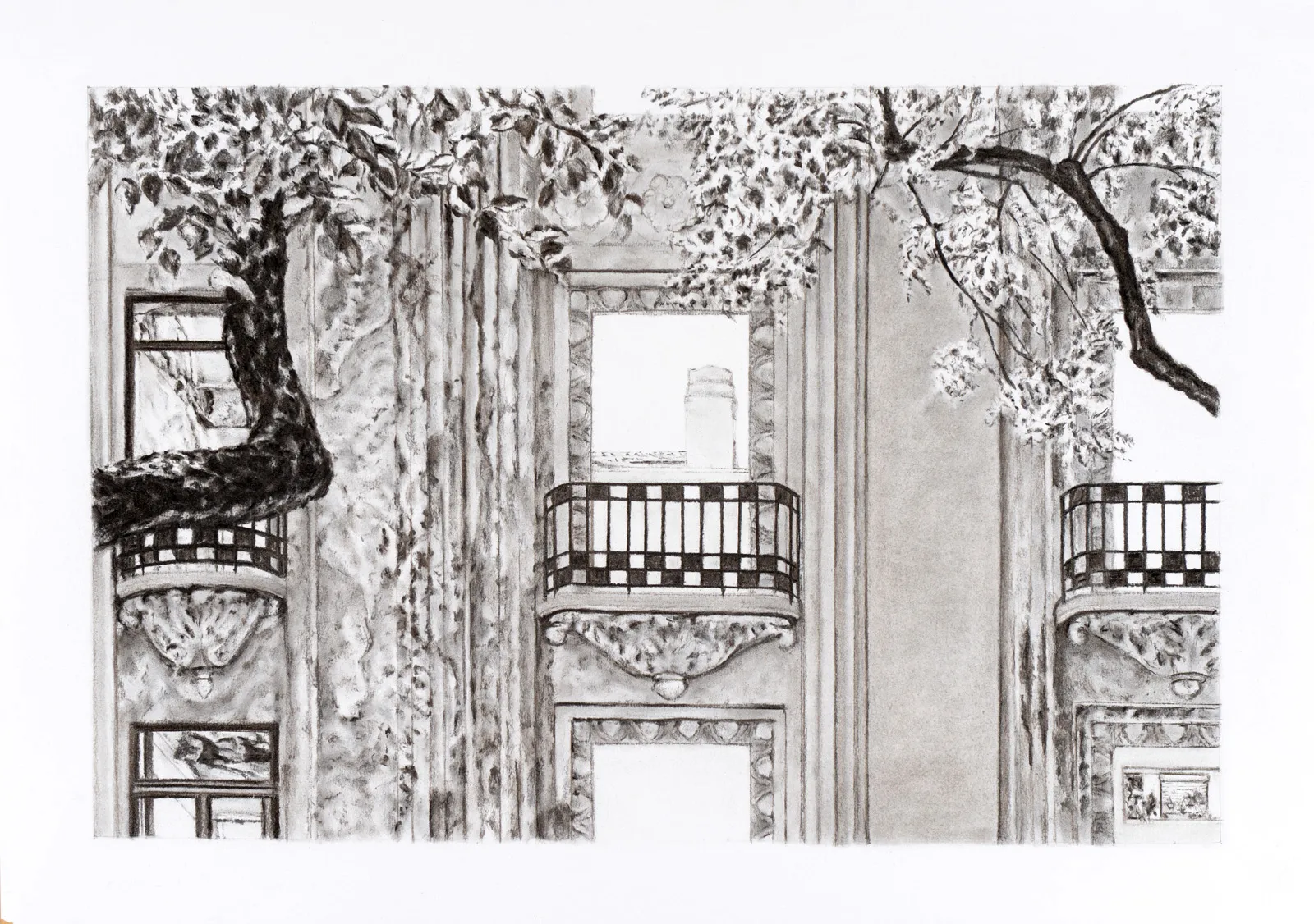 Avenidas Novas, Hector Ramsay, 2015, Graphite on paper
