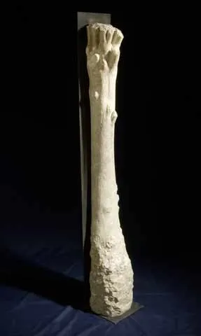 Tronco, Vítor Ribeiro, 2007, Santo António breccia and iron