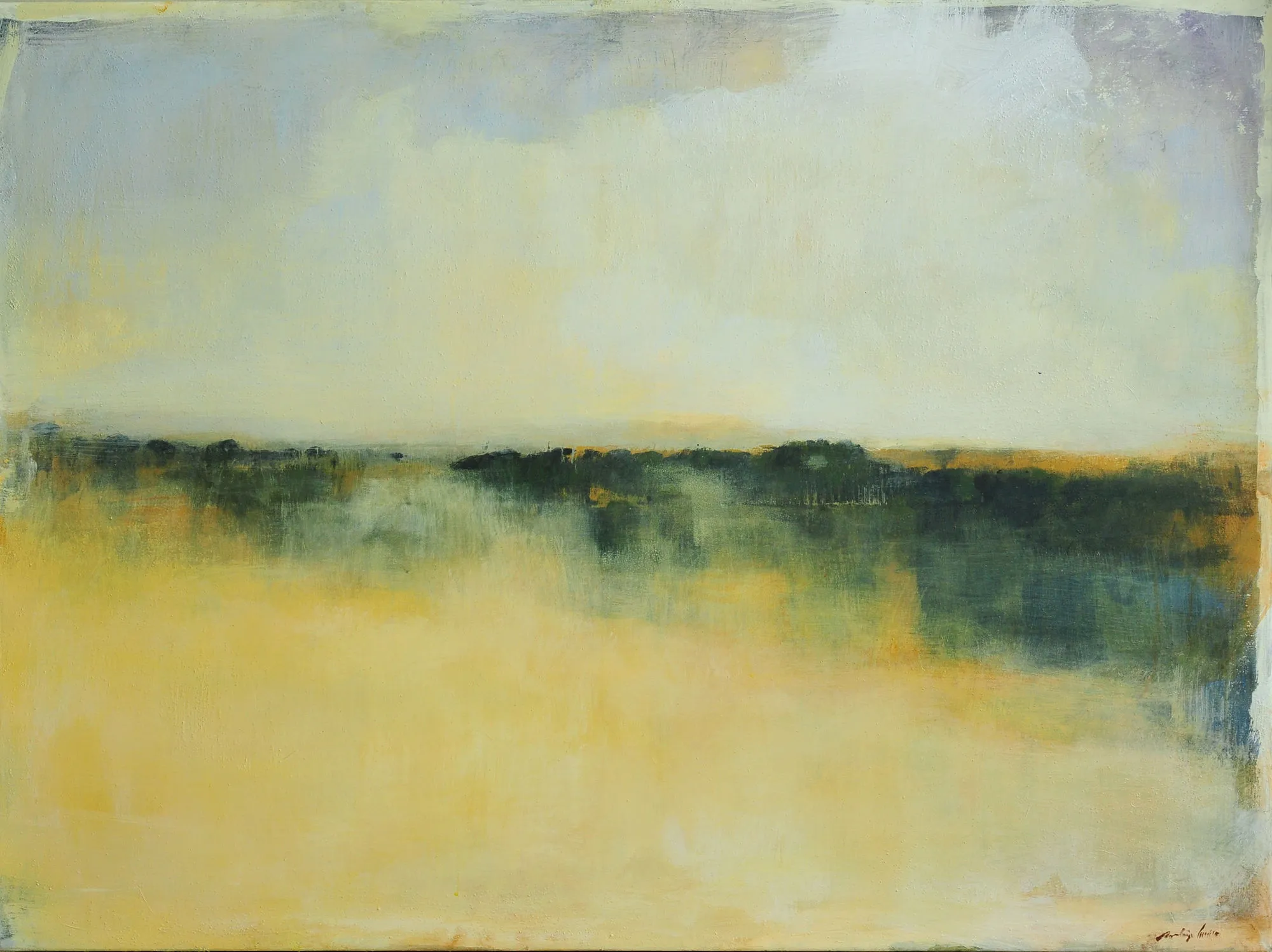 Paysage Lointain, Rodrigo Ferreira, 2013, Acrylic on canvas