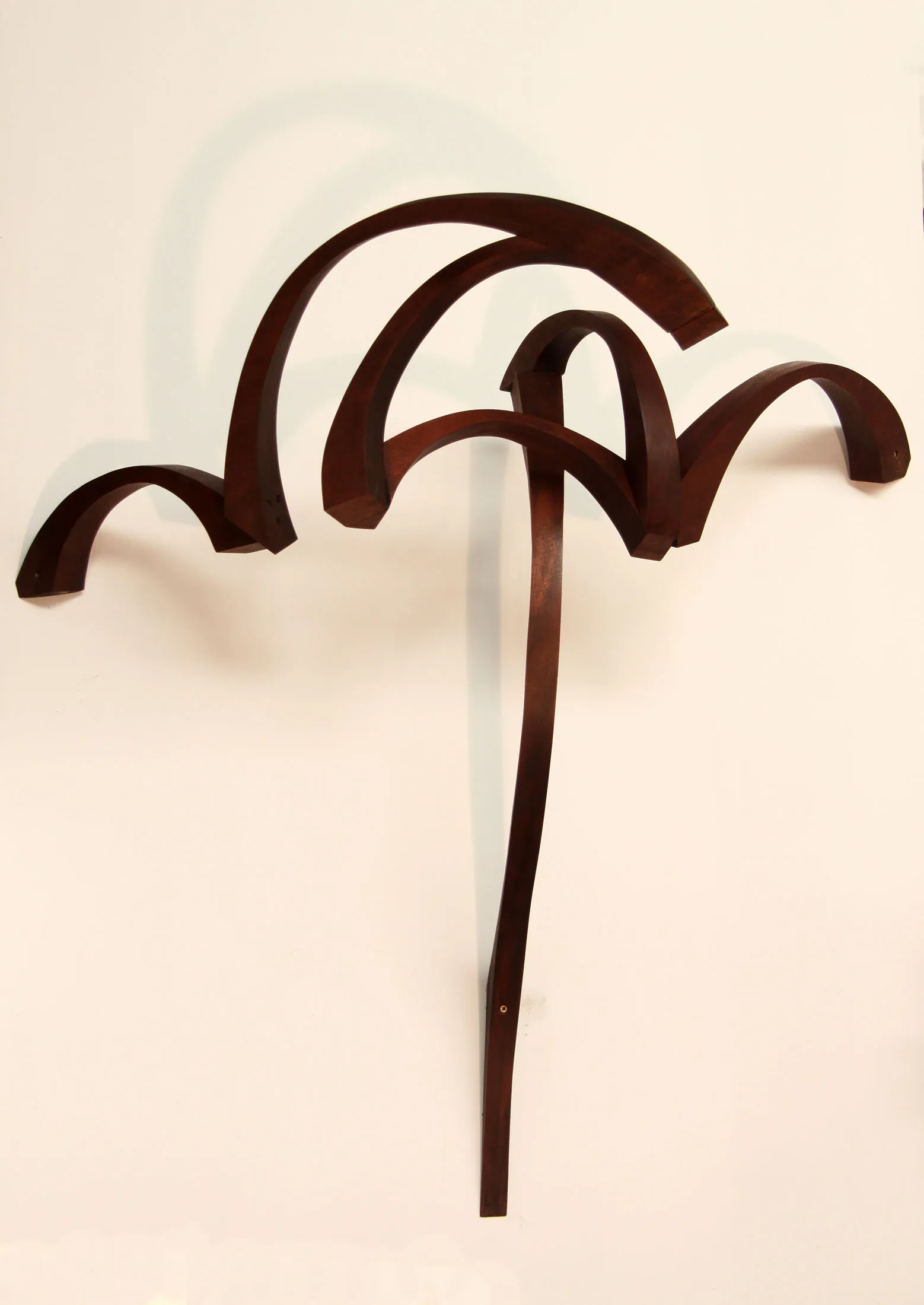 Cielo 1, Mar Solís, 2010, Mahogany wood sculpture
