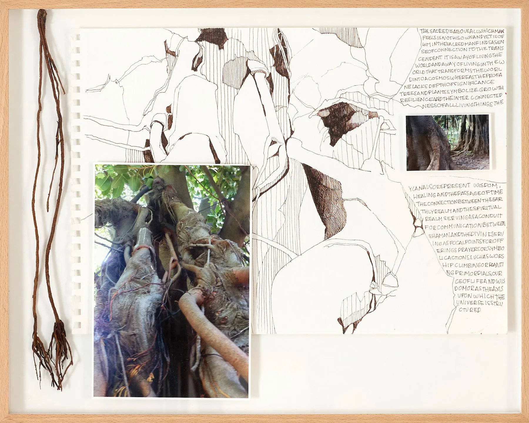 Untitled (304-15), Stefanie Pullin, 2026, Mixed media on paper