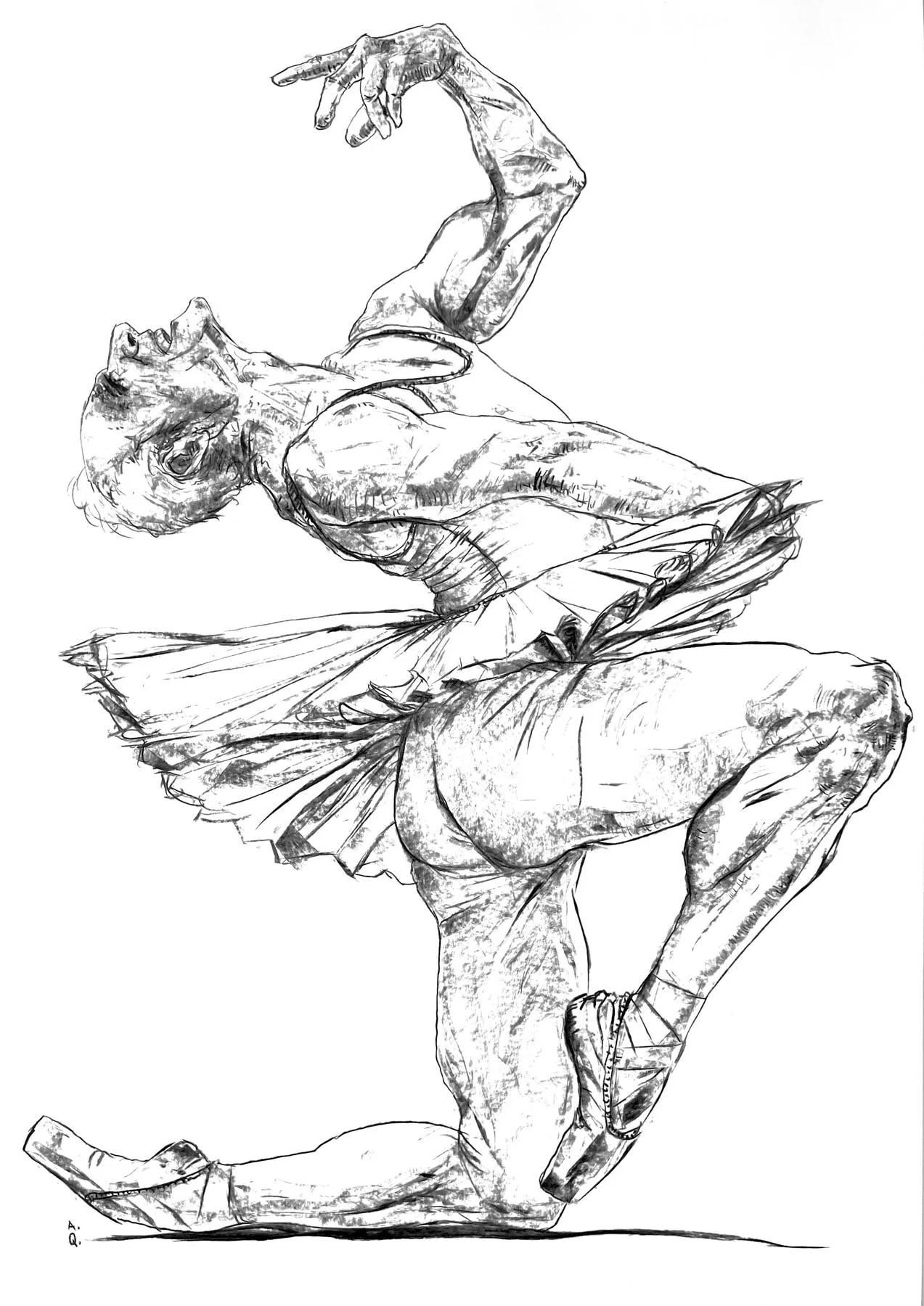 Untitled (281-16), Amaro della Quercia, 2025, Charcoal on paper