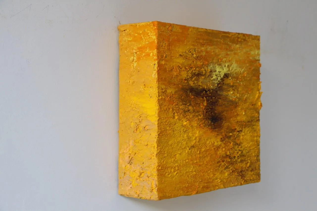 Territórios Âmbar, Alberto Reguera, 2019, Mixed media on canvas