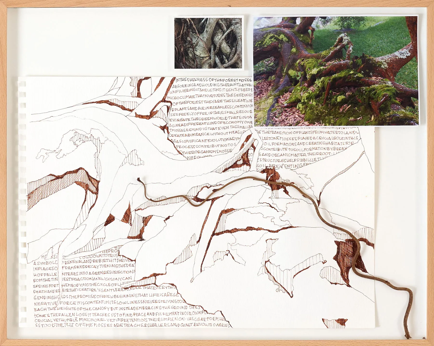 Untitled (304-17), Stefanie Pullin, 2026, Mixed media on paper