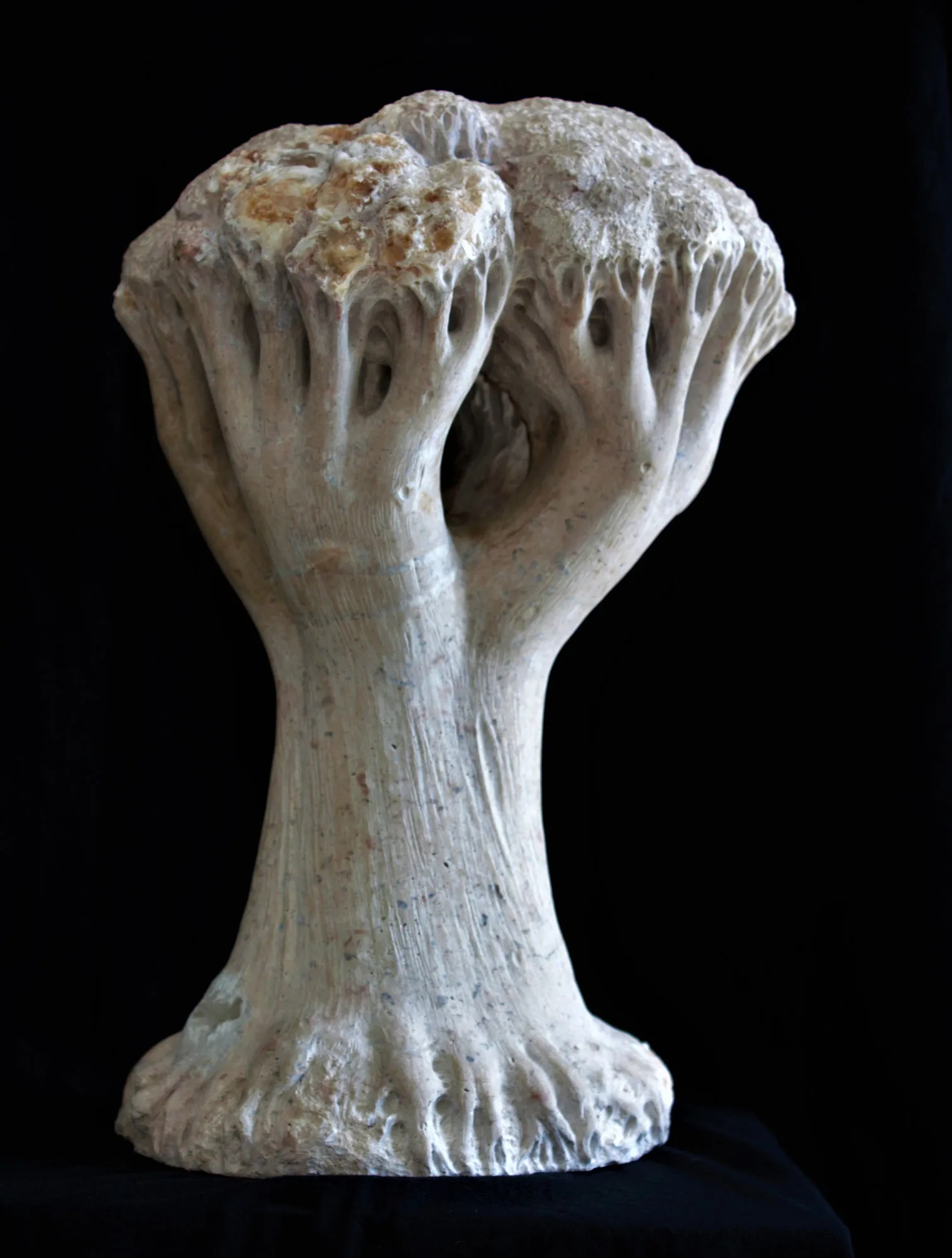 Árvore do teu jardim, Vítor Ribeiro, 2018, Santo António breccia