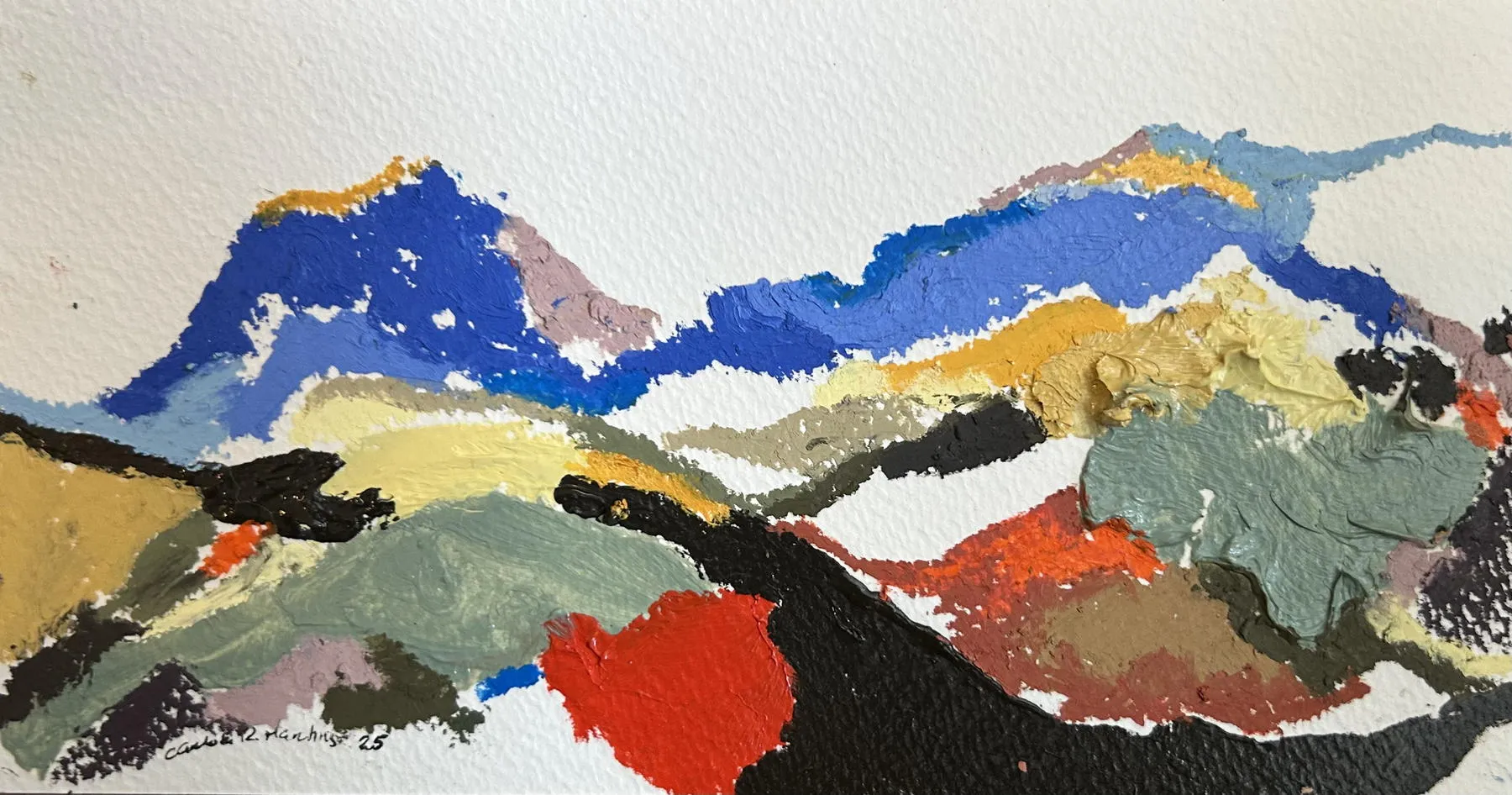 Untitled (293-29), Carlota Roque Martins, 2026, Mixed media on paper