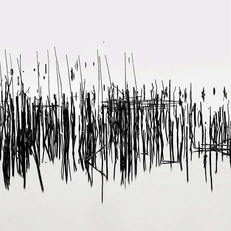 Interference, Alexandre Manuel, 2017, Photograph on Diasec