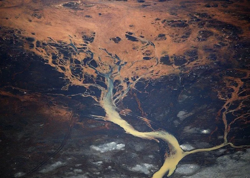 Paisagem Orgânica #1, Alexandre Manuel, Photograph on Diasec
