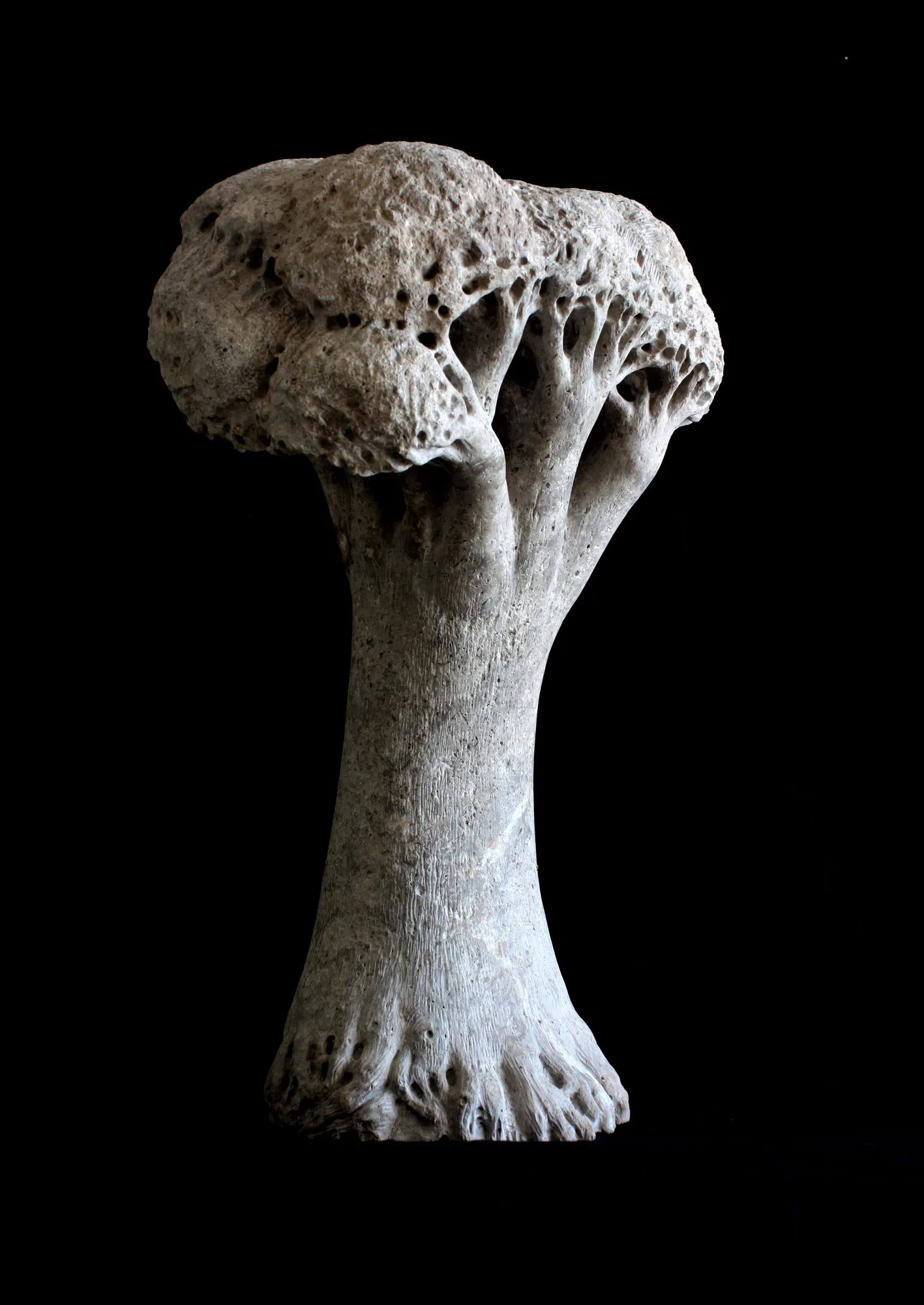 Árvore de sombra, Vítor Ribeiro, 2018, Santo António breccia