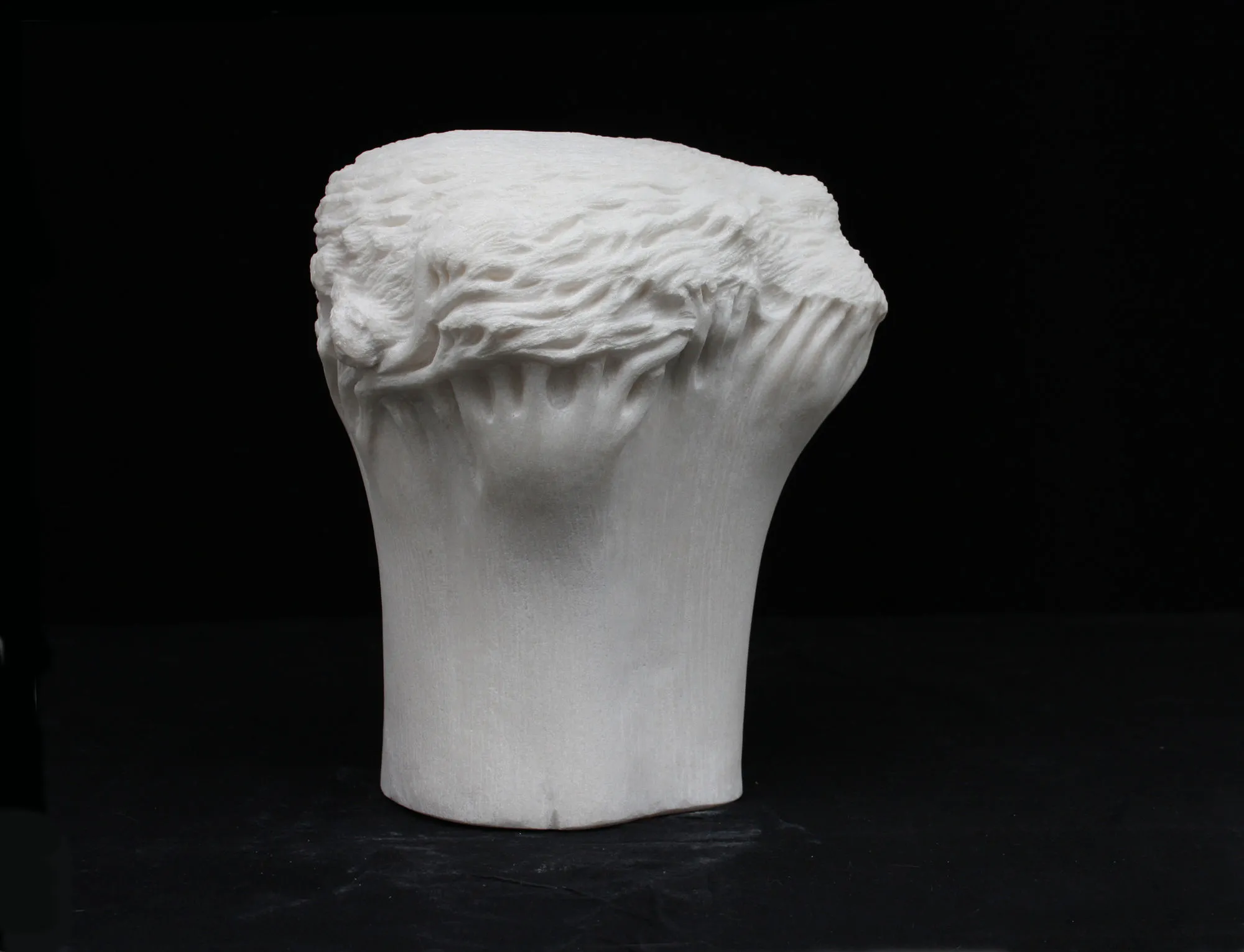 Pequena Árvore branca, Vítor Ribeiro, 2011, Estremoz marble