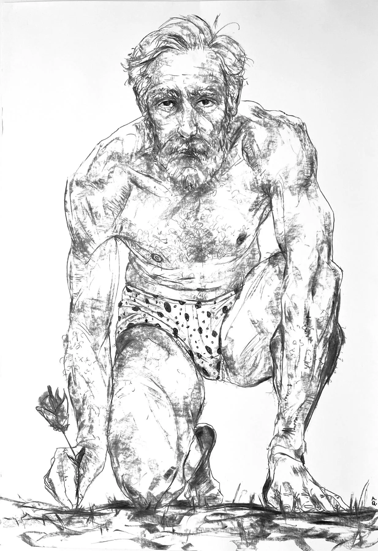 Untitled (281-12), Amaro della Quercia, 2025, Charcoal on paper