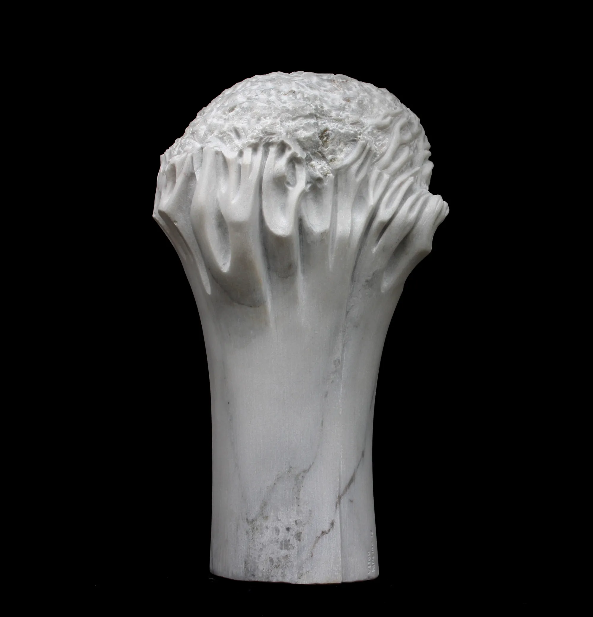 Árvore branca, Vítor Ribeiro, 2011, Estremoz marble