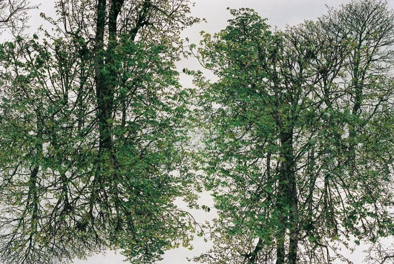 Bruxelas II, Francisco Pereira Coutinho (neto), 2023, Photograph on Diasec