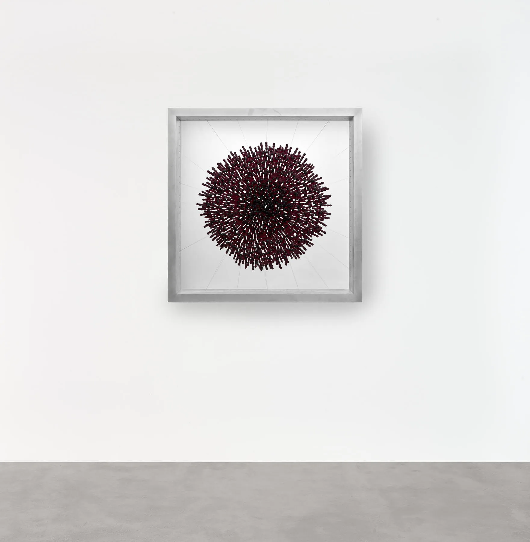 Rosácea XXIV, Manuela Castro Martins, 2018