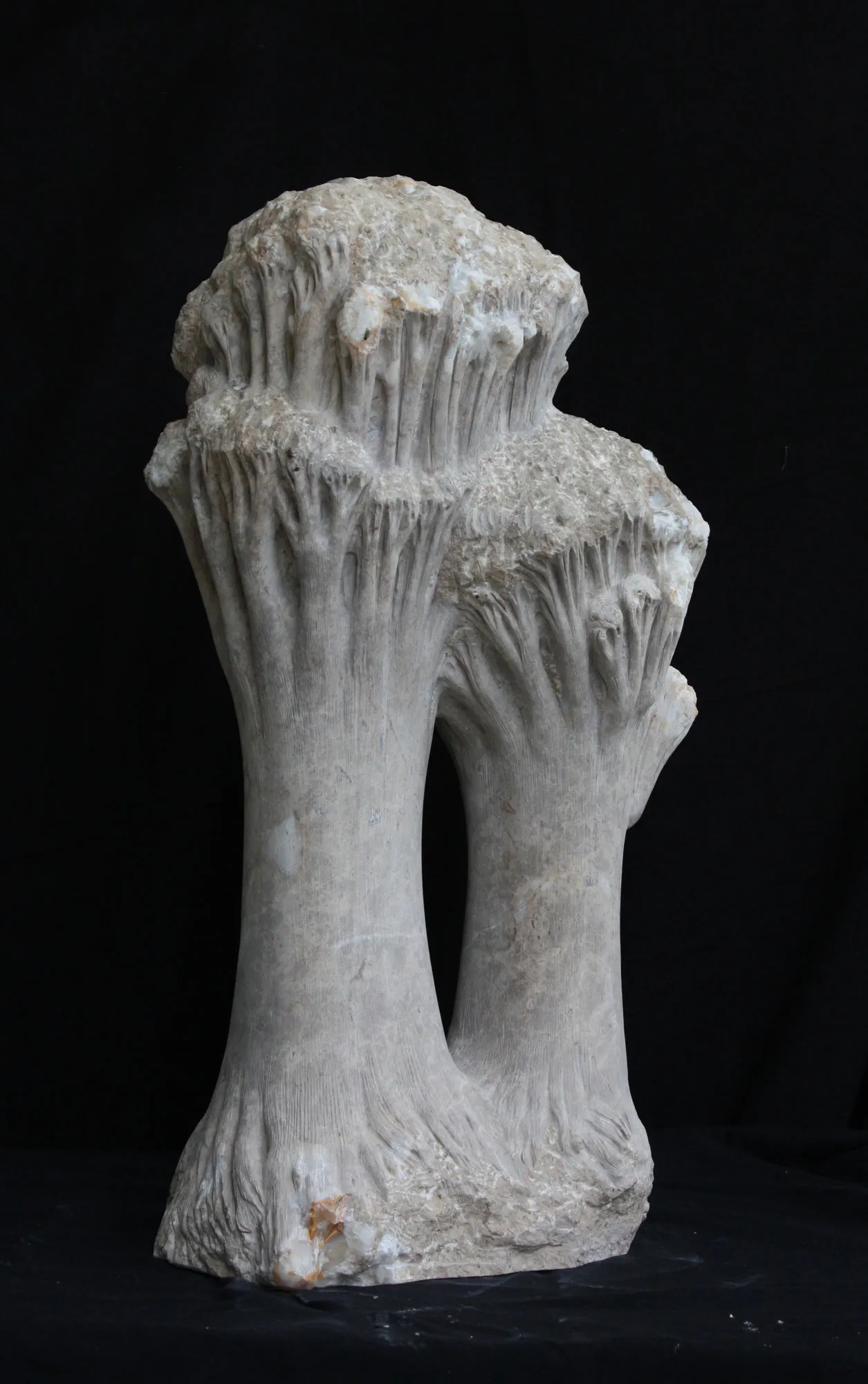 Duas Árvores muito tranquilas, Vítor Ribeiro, 2012, Santo António breccia