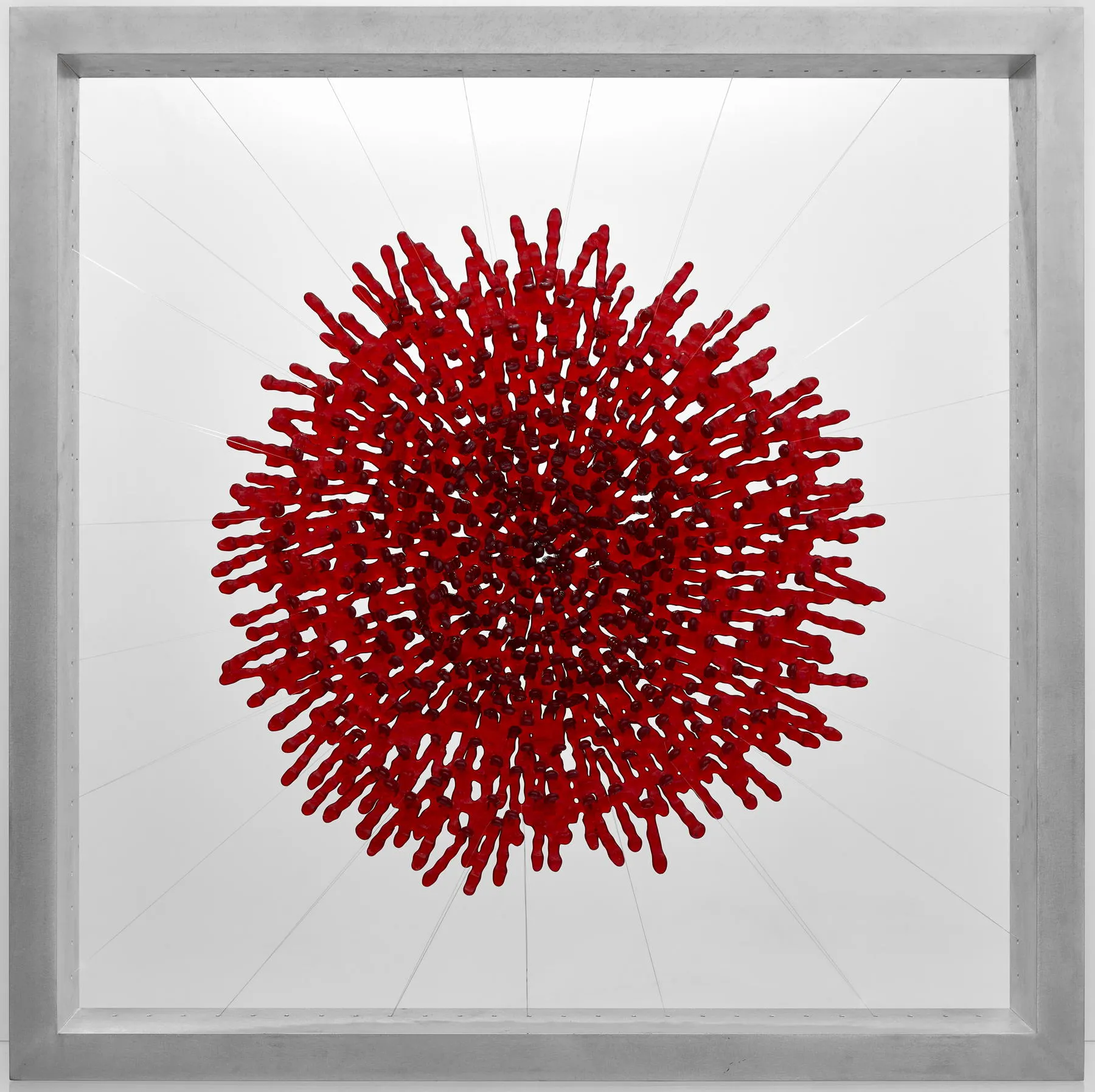Rosácea XXII, Manuela Castro Martins, 2018