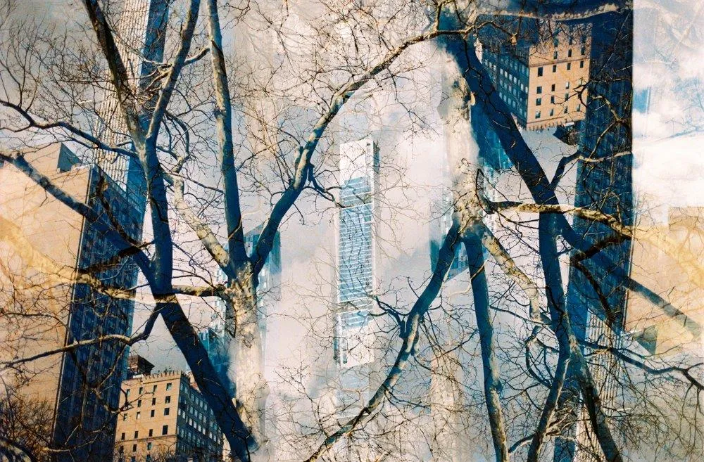 New York VII, Francisco Pereira Coutinho (neto), 2022, Photograph on Diasec face