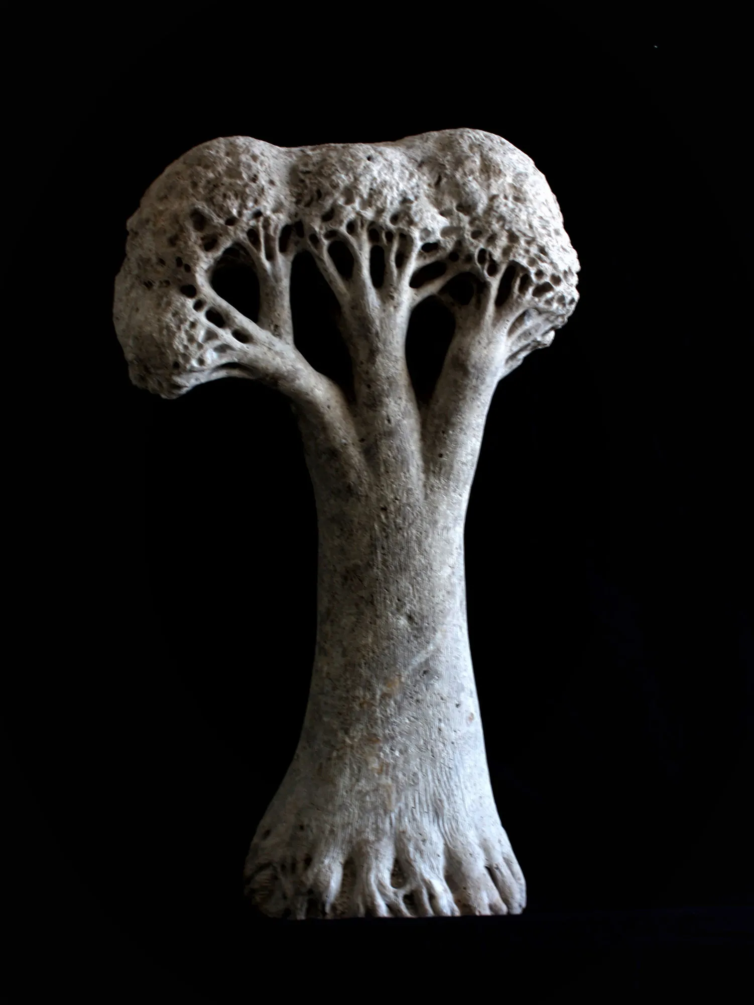 Árvore de sombra, Vítor Ribeiro, 2018, Santo António breccia