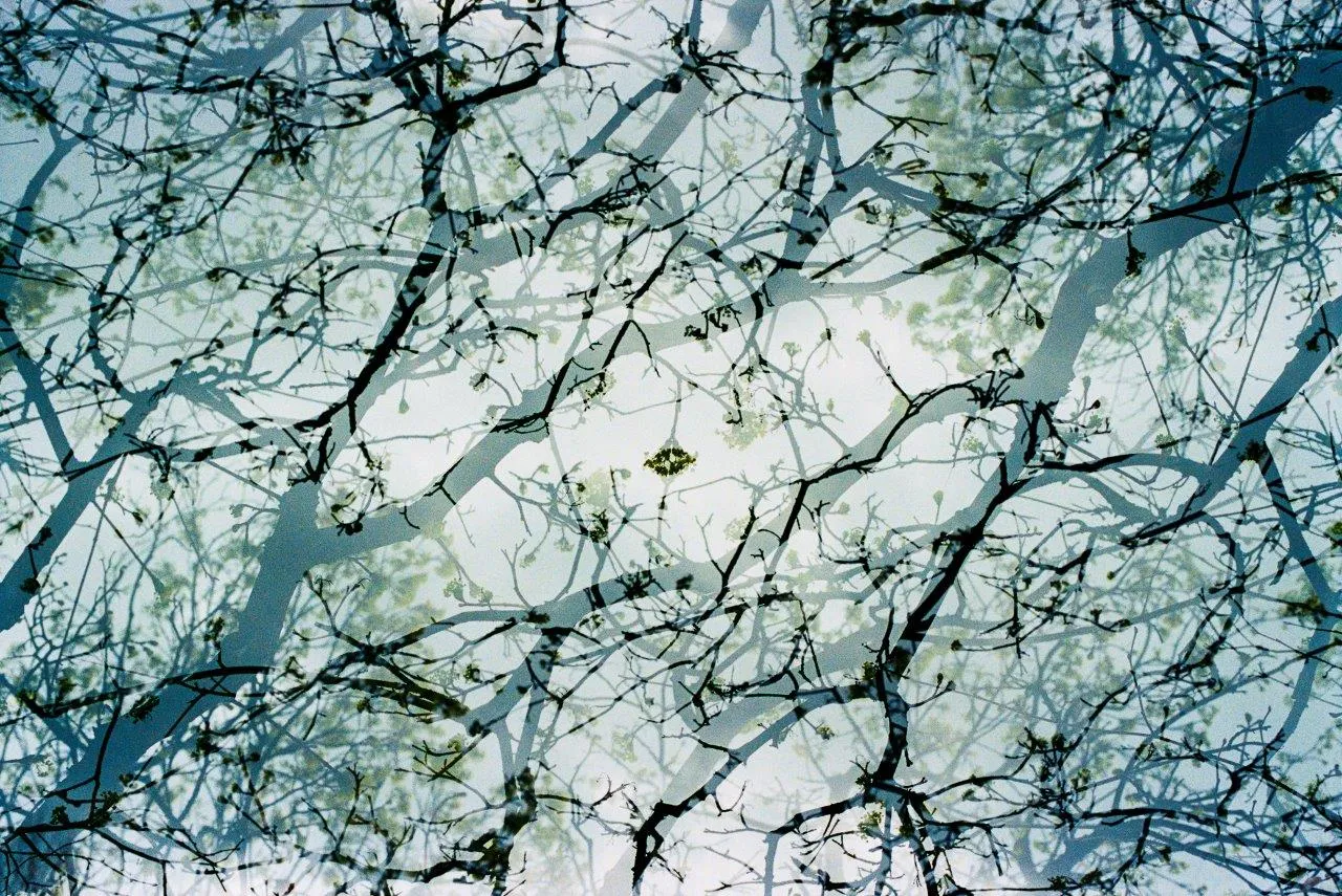 Bruxelas I, Francisco Pereira Coutinho (neto), 2023, Photograph on Diasec (unique edition 1/1)