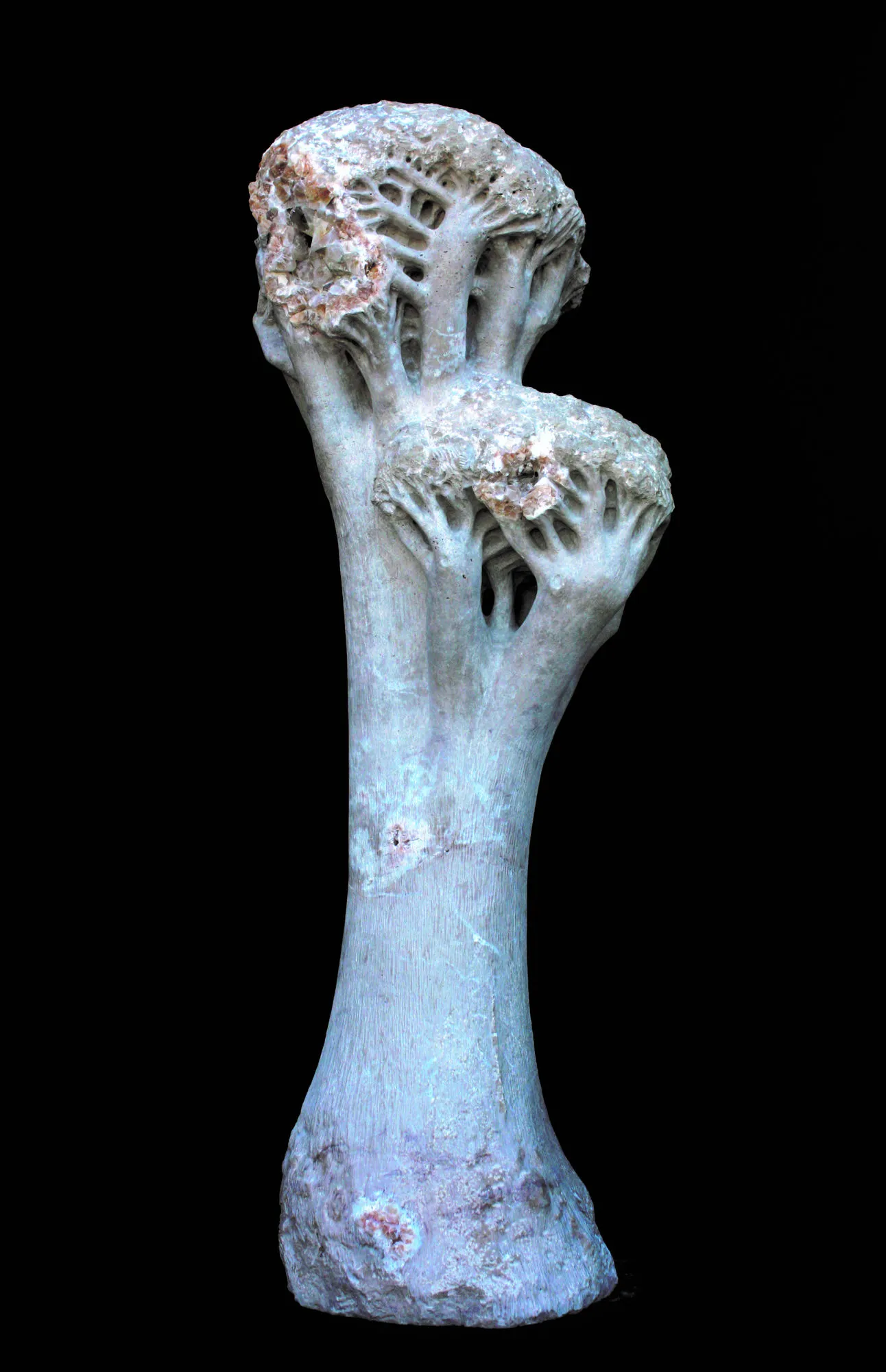 Árvore improvável, Vítor Ribeiro, 2019, Santo António breccia
