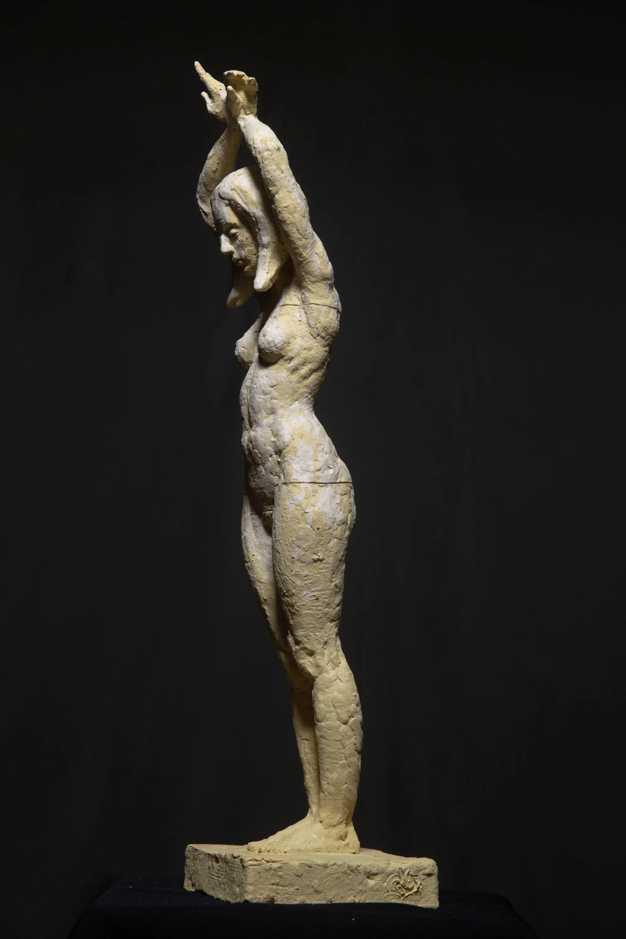 Chamadora de Espíritos #1, Daniel Gamelas, 2024