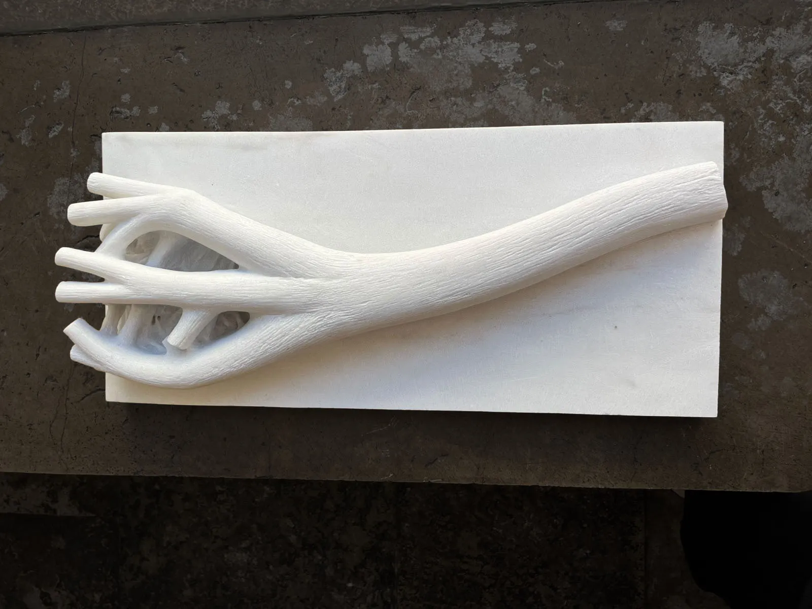 Ramo de Árvore, Vítor Ribeiro, 2026, White marble