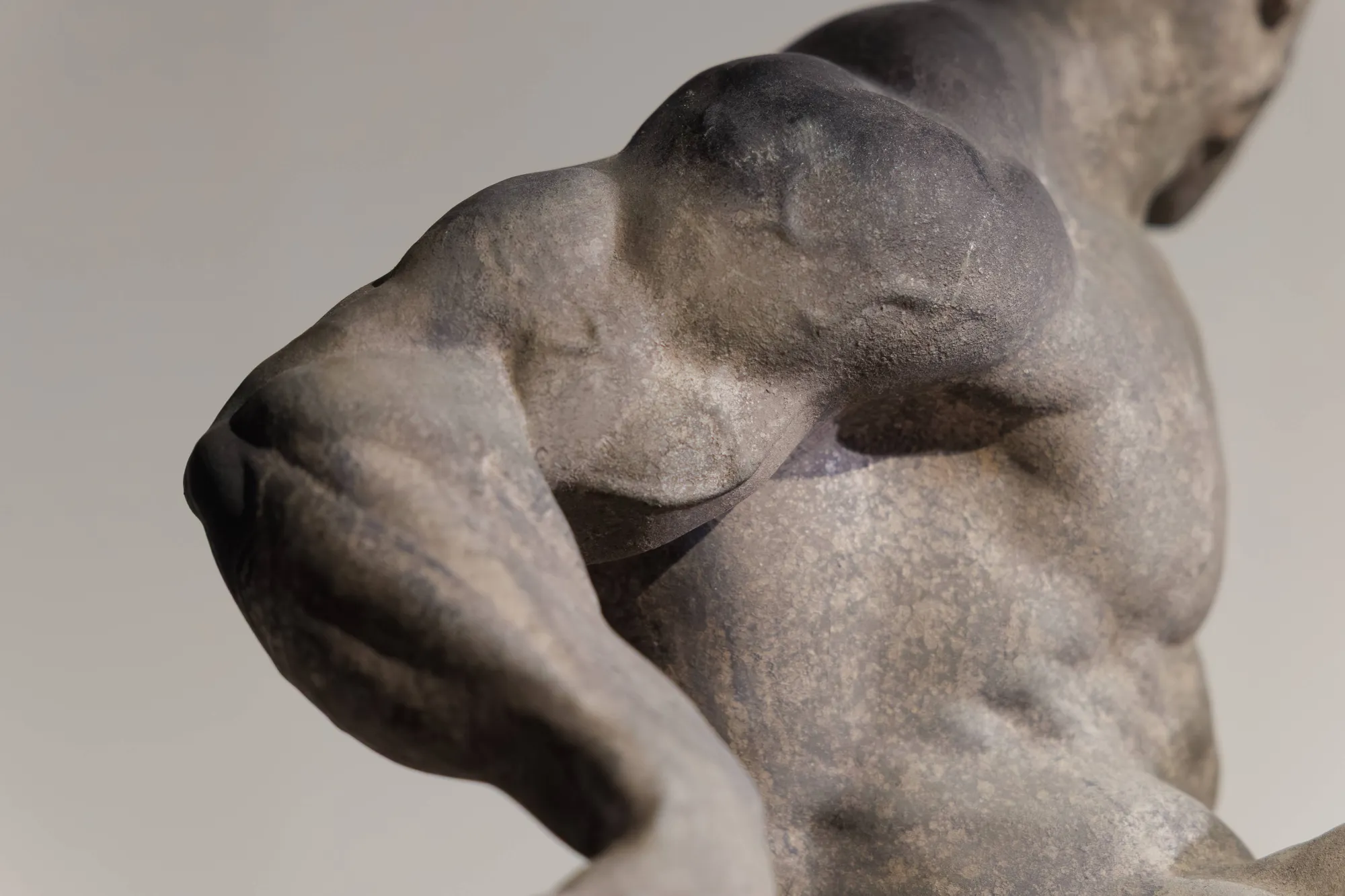 Reve-tintinolho, Daniel Gamelas, 2023, Painted resin
