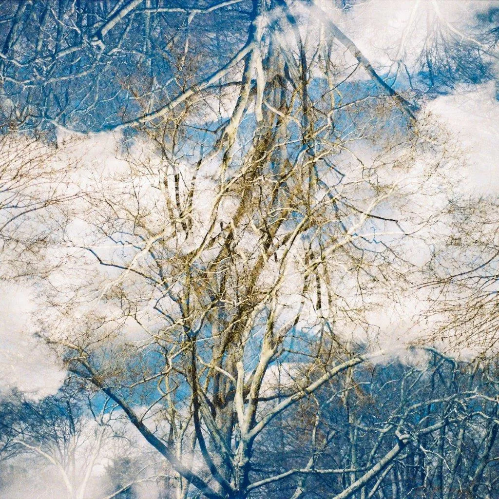 New York XI, Francisco Pereira Coutinho (neto), 2022, Photograph on Diasec