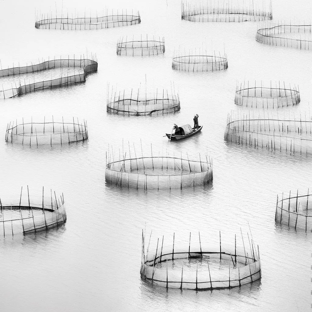 Lost in Abstraction #3, Alexandre Manuel, 2019, Photograph on Diasec face