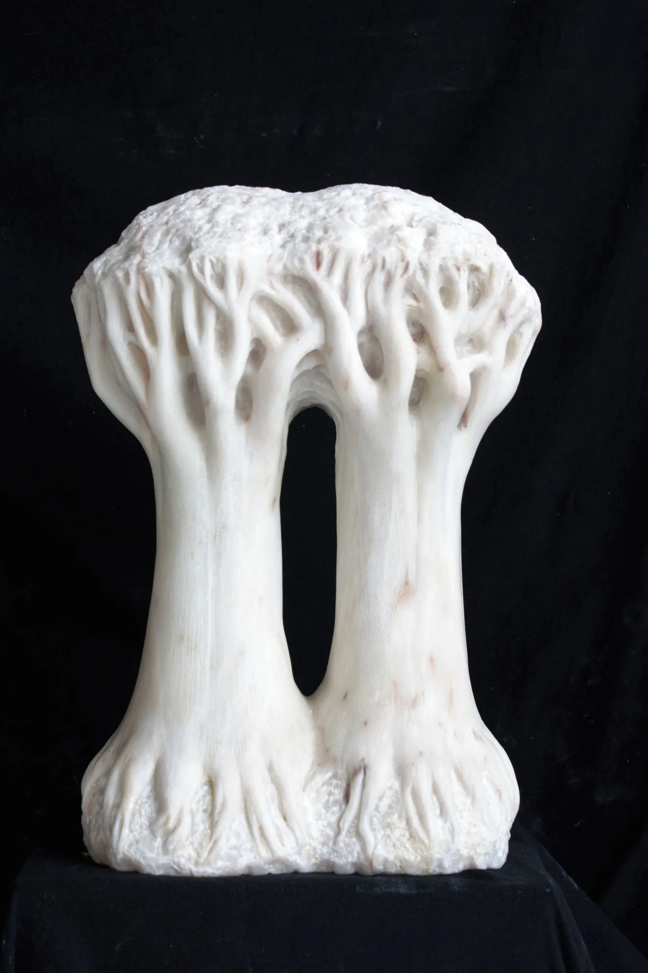 As Árvores de Luz, Vítor Ribeiro, 2016, Santo António breccia