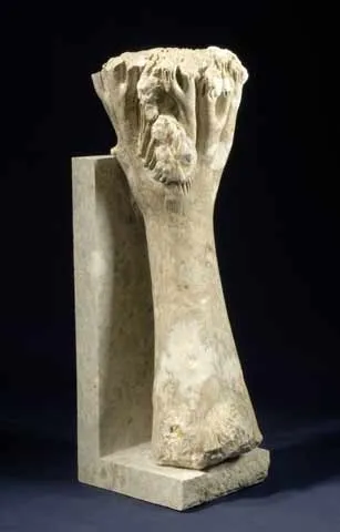Árvore do rio, Vítor Ribeiro, 2007, Santo António breccia