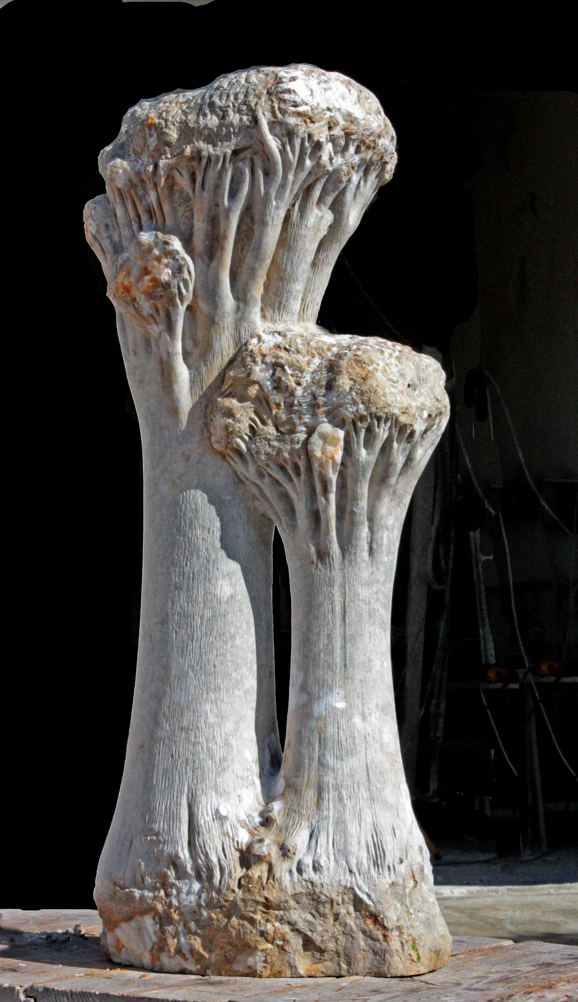 Árvores apaixonadas, Vítor Ribeiro, 2011, Santo António breccia