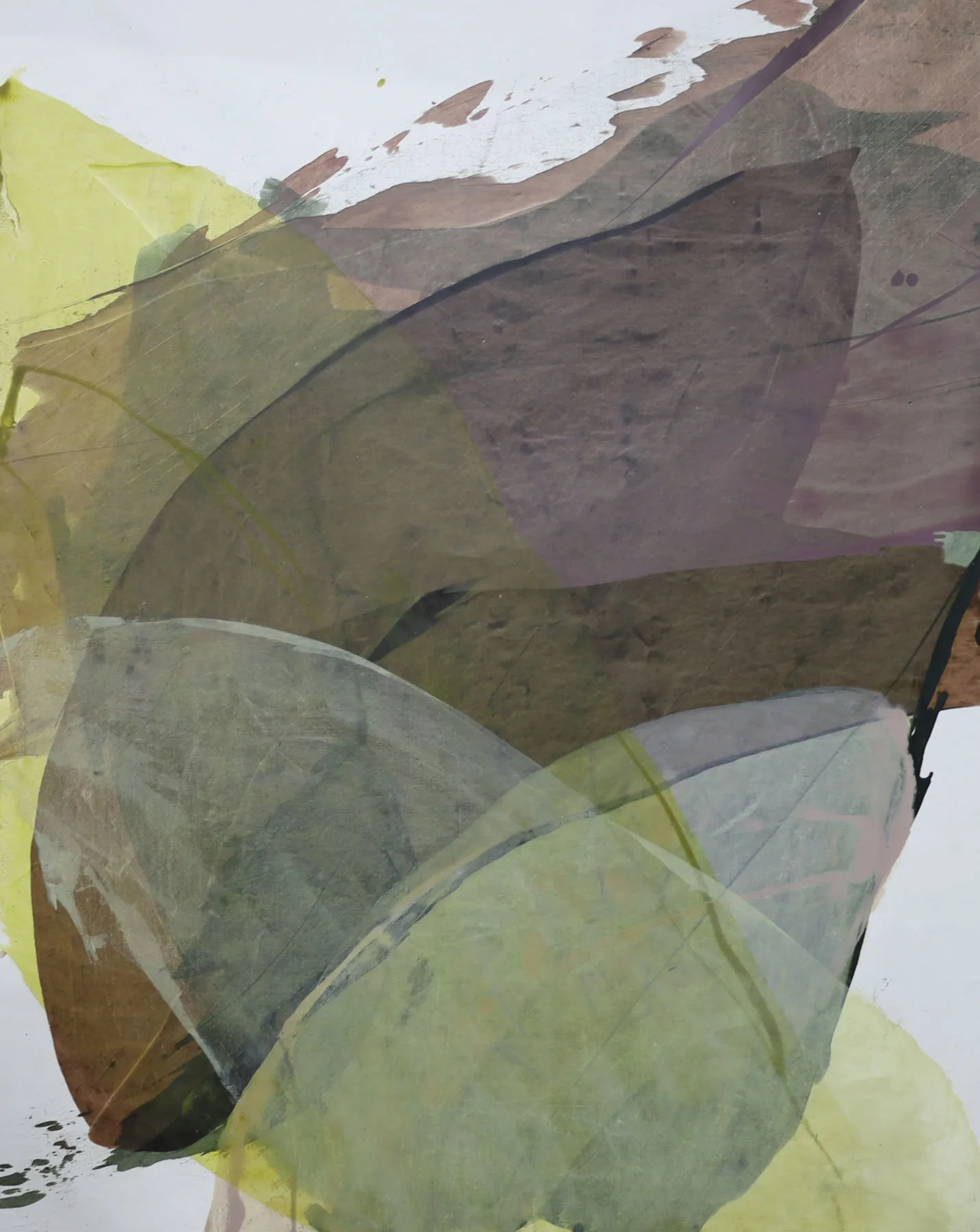 Erase me, João Freitas, 2023, Oil on canvas