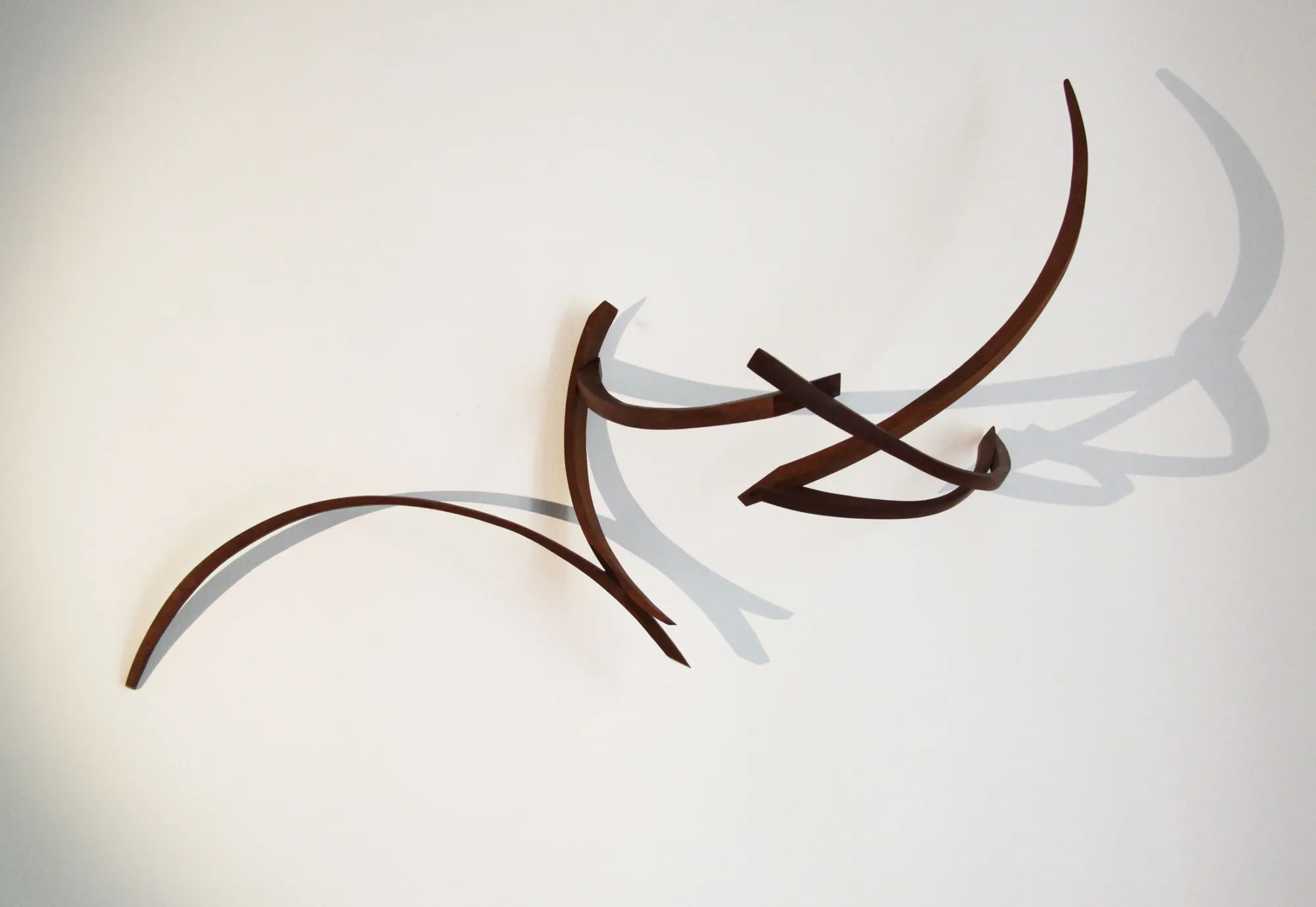 Elíptico, Mar Solís, 2015, Mahogany wood sculpture