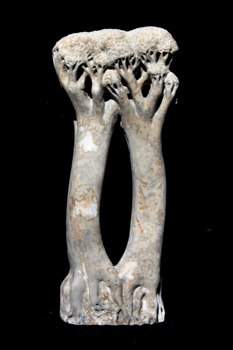 Árvores abraçadas, Vítor Ribeiro, 2019, Santo António breccia