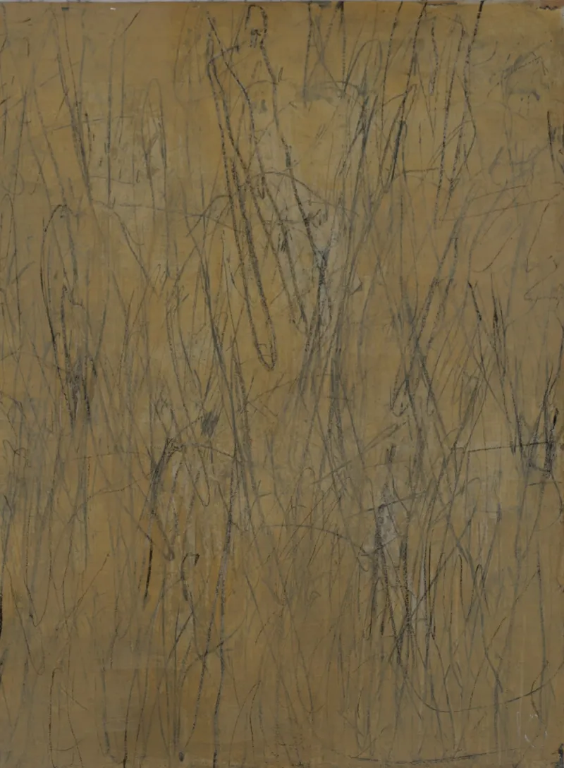 Plein soleil, Jean Pierre Porcher, 2016, Acrylic with graphite on paper