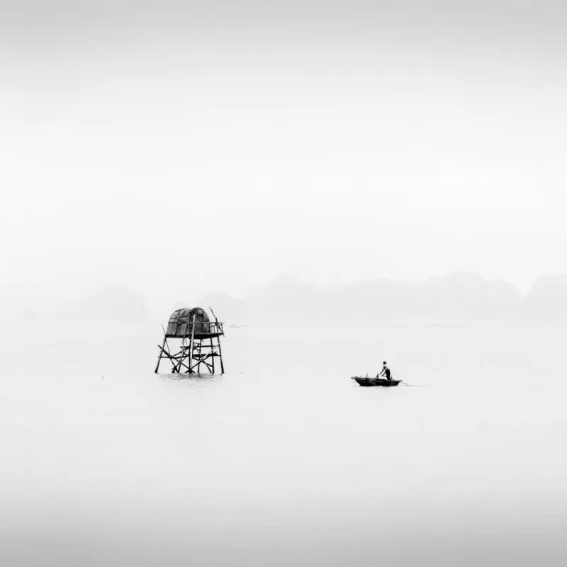 Rising Hope, Alexandre Manuel, 2018, Photograph on Diasec