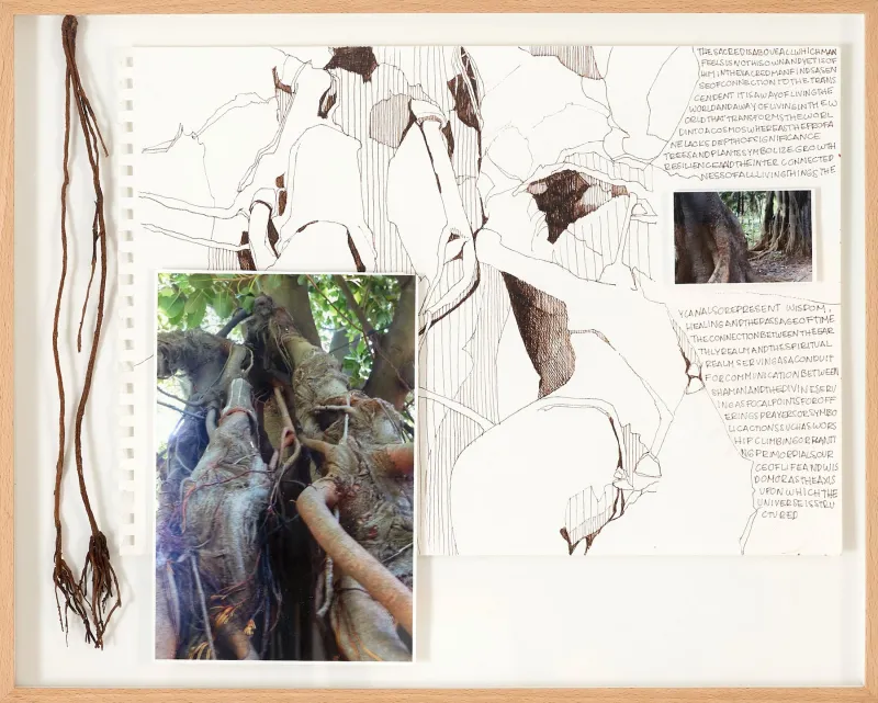 Untitled (304-15), Stefanie Pullin, 2026, Mixed media on paper