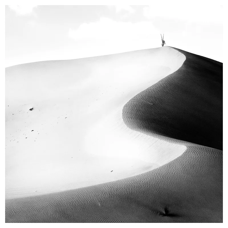 Ondulations I, Alexandre Manuel, 2021, Photograph on Diasec