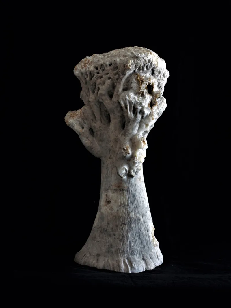 Da Terra, Vítor Ribeiro, 2019, Santo António breccia