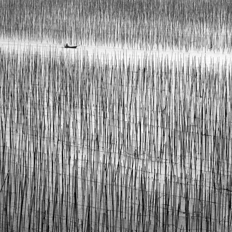 Lost in Abstraction #2, Alexandre Manuel, 2017, Photograph on Diasec face