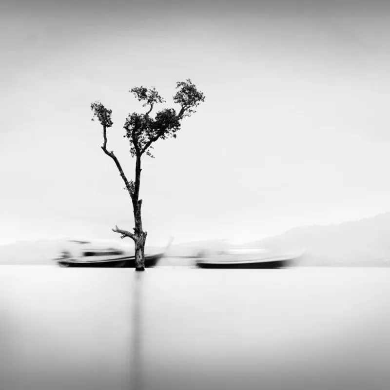 Enter the Quantum #2h, Alexandre Manuel, 2017, Photograph on Diasec face