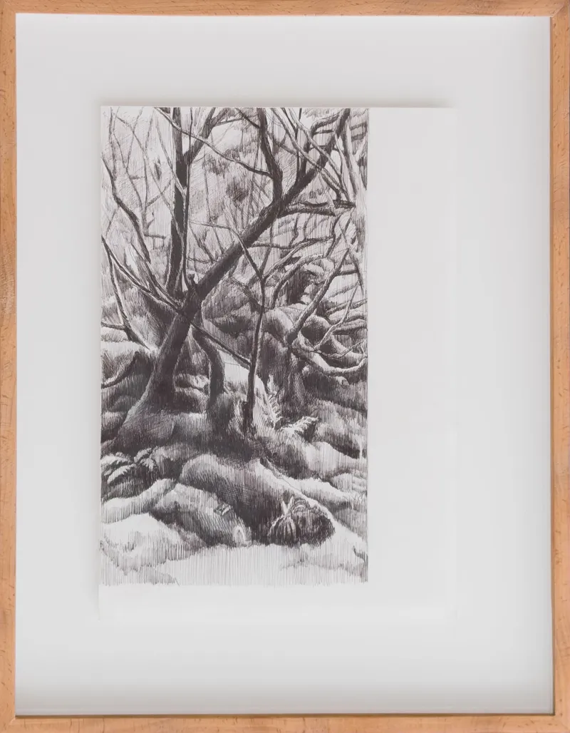 Untitled (304-26), Stefanie Pullin, 2026, Graphite on paper