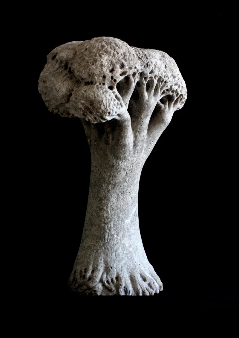 Árvore de sombra, Vítor Ribeiro, 2018, Santo António breccia